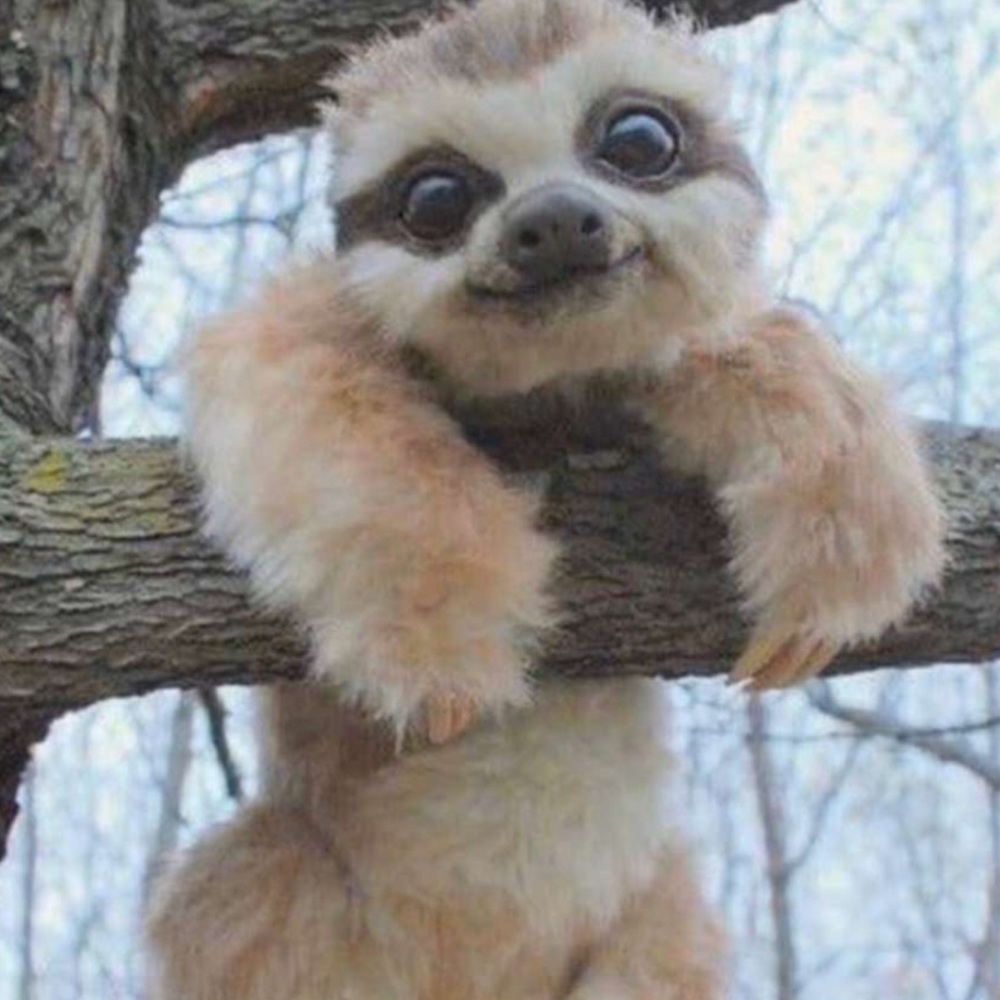 Meet your Posher, Camille